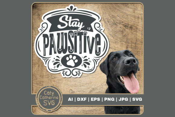 Reviewing Stay Pawsitive for Real Embroidery Projects